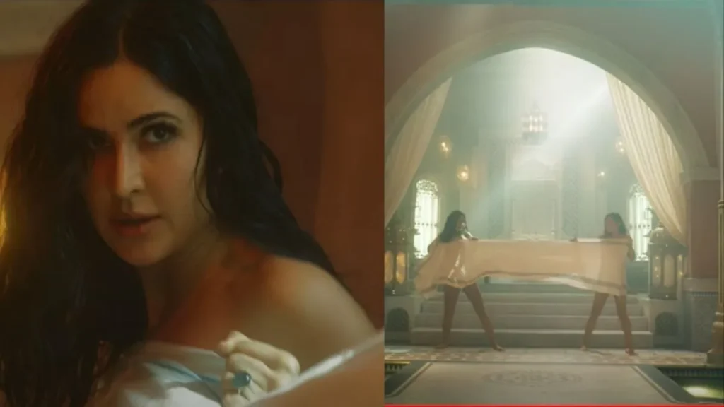 How much did Katrina Kaif charge for the Towel Fight Scene in Tiger 3?